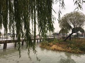 苏州西山爆料事件视频,视频揭露惊人真相  第2张