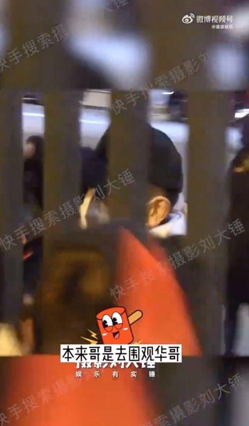 刘德华狗仔爆料视频大全,揭秘娱乐圈幕后真相 第2张 刘德华狗仔爆料视频大全,揭秘娱乐圈幕后真相 第2张