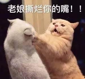 娱乐吃瓜君被骂,网络素养何在? 第3张 娱乐吃瓜君被骂,网络素养何在? 第3张