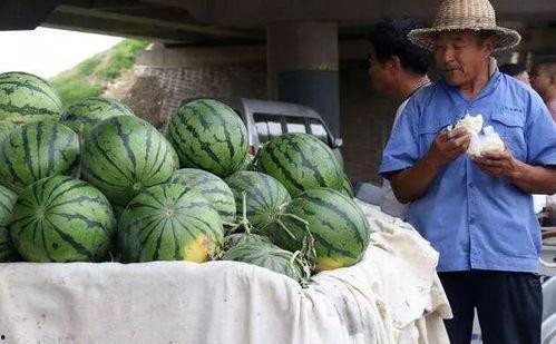 康县网红吃瓜事件,一场网络舆论的风暴与反思  第2张